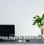 Houseplants Might Be Behind Your Sluggish Wi-Fi